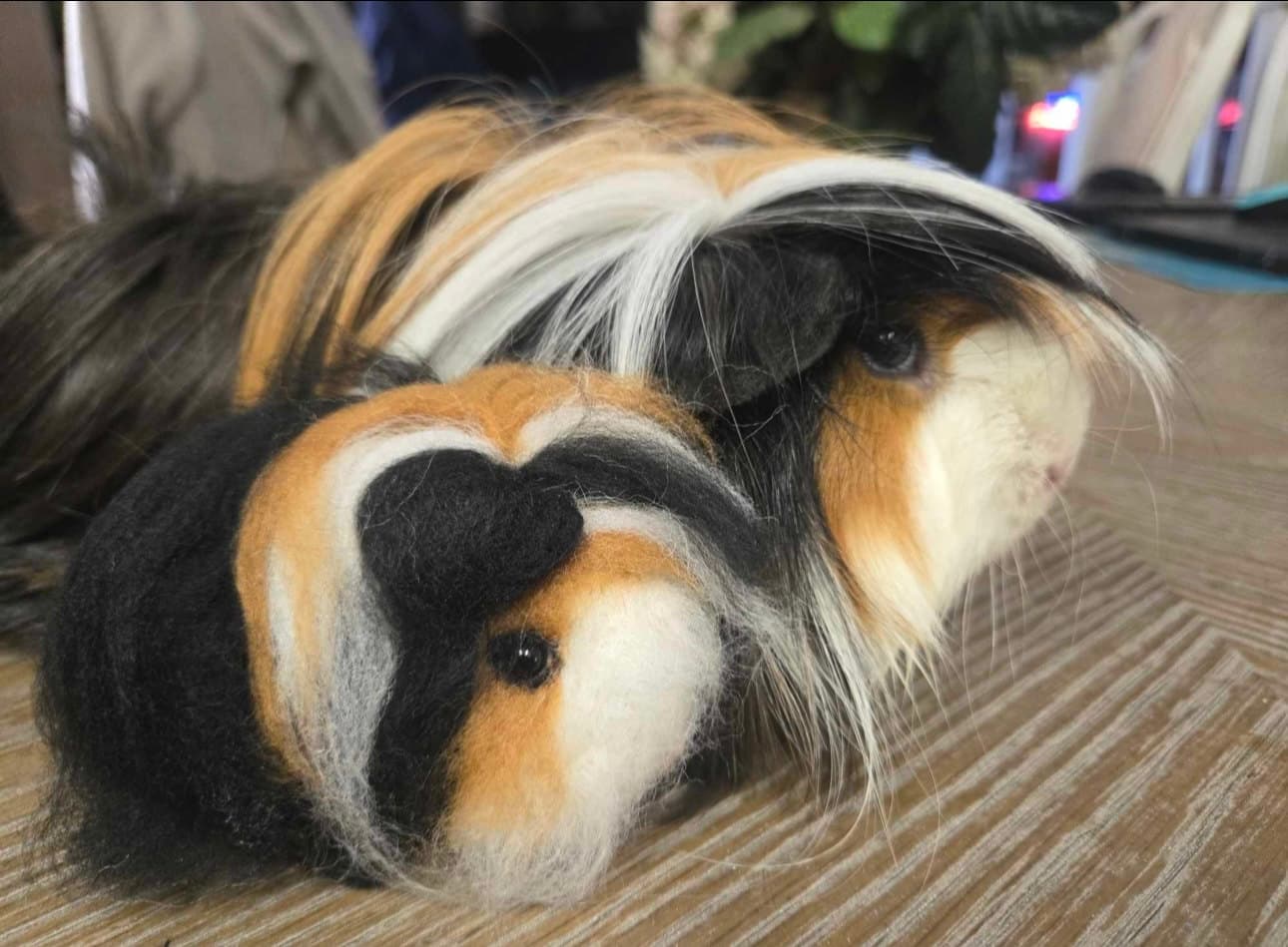 Guinea Pig Pair - Long-Haired Custom Portrait - Image 1 of 1