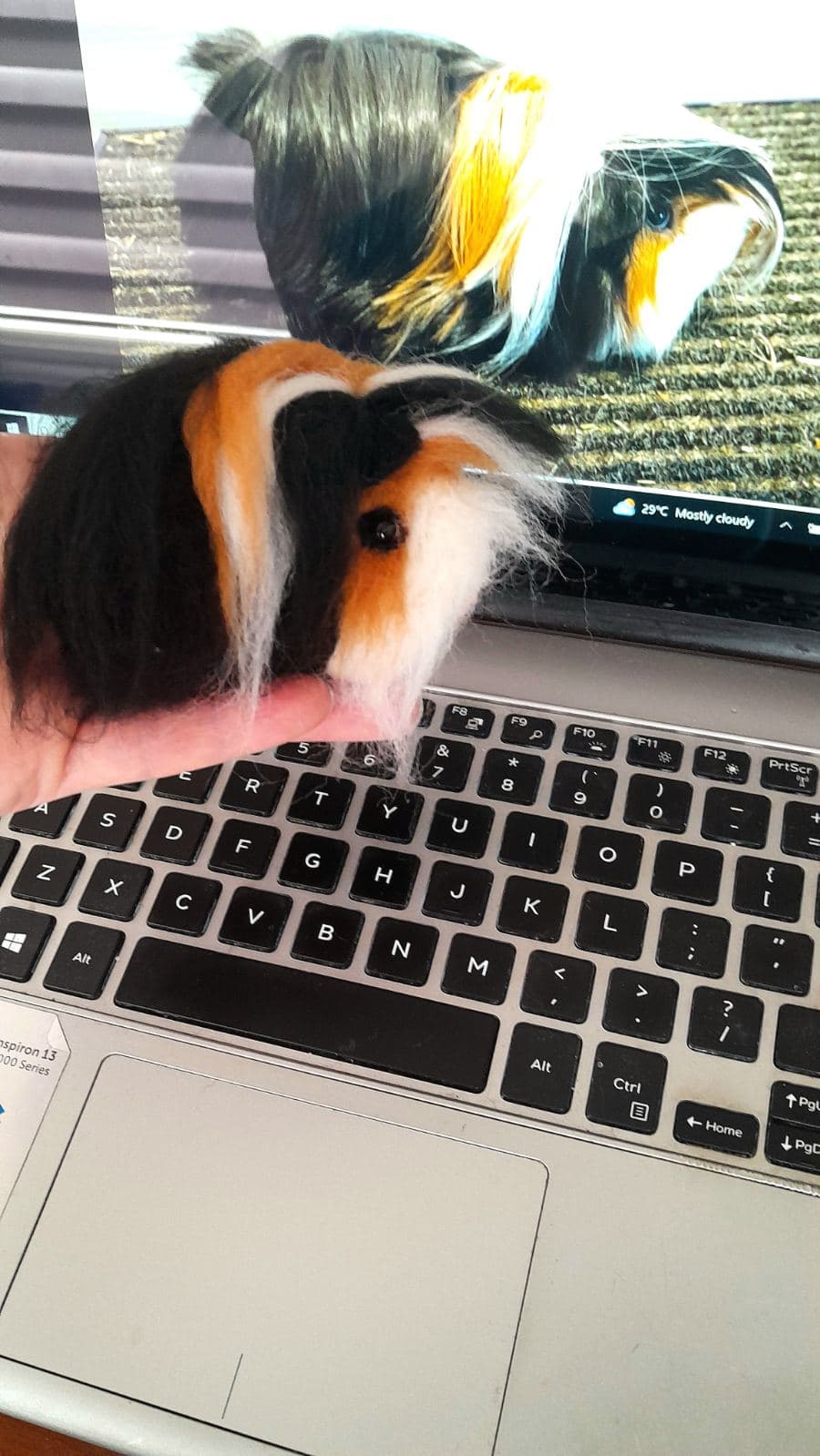 Tricolor Guinea Pig Custom Portrait - Image 1 of 1