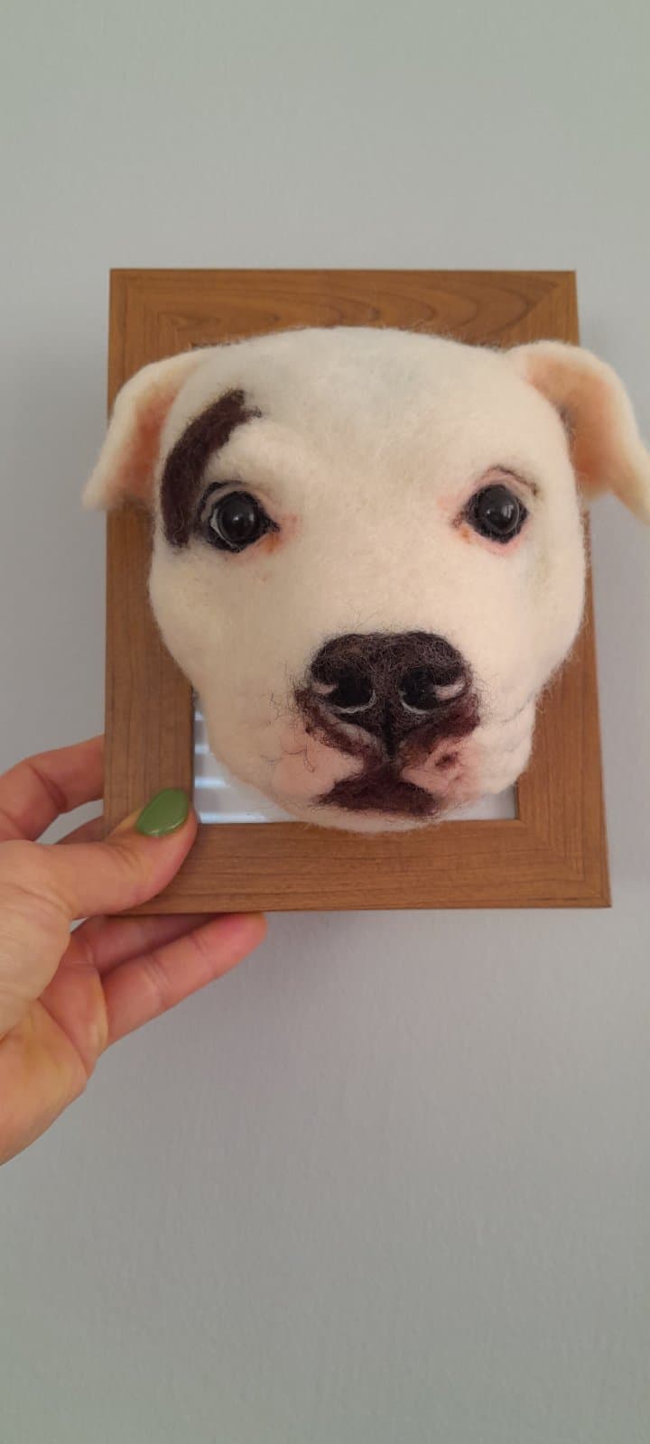 3D Framed Pet Portrait - Pitbull - Image 1 of 1