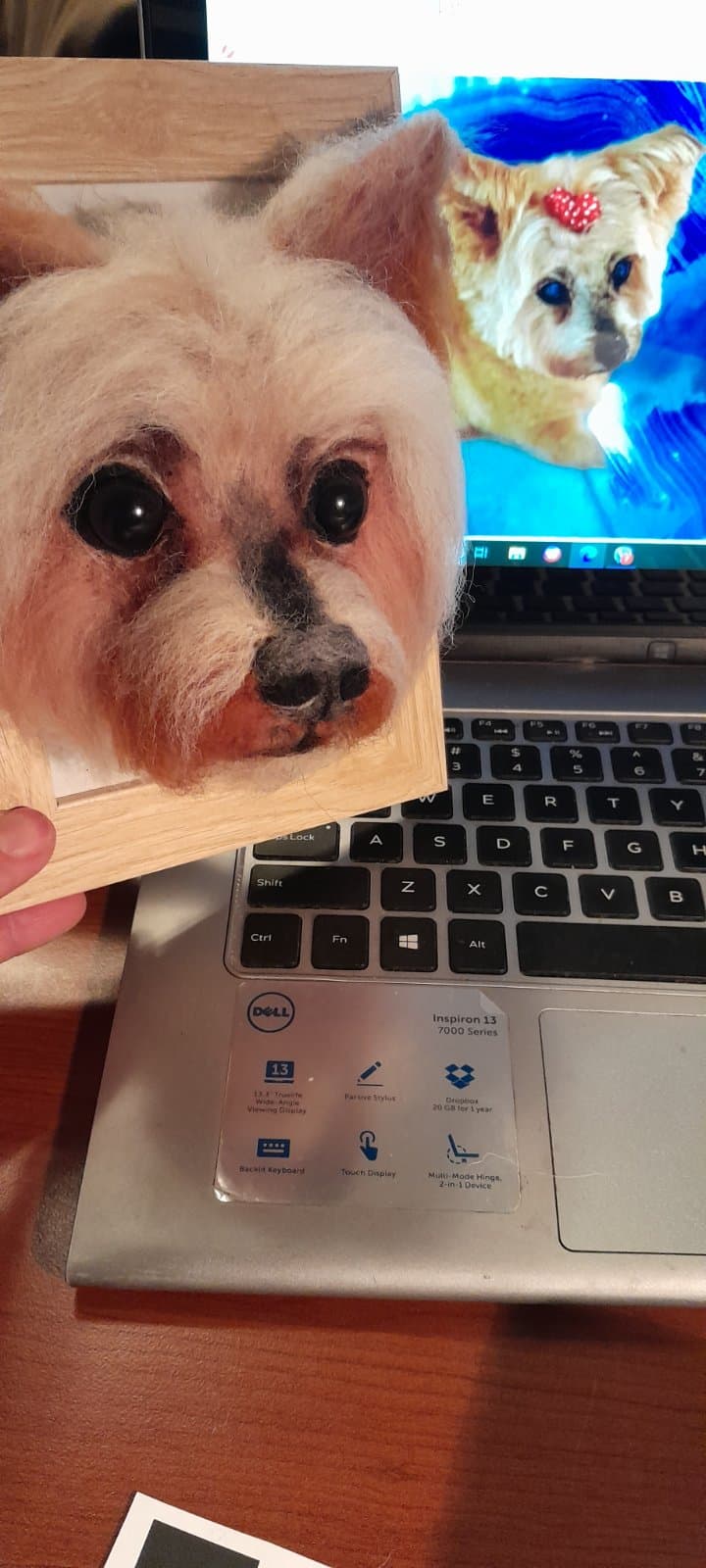 3D Framed Pet Portrait - Pomeranian - Image 1 of 1